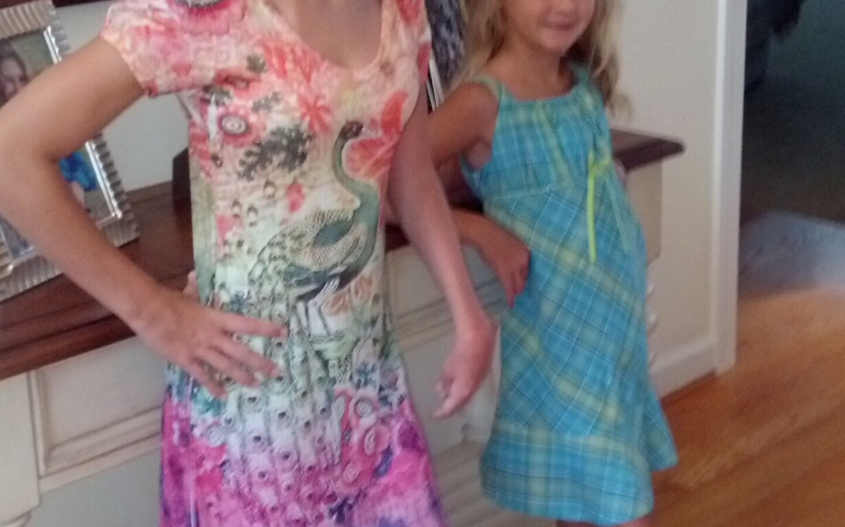 Two girls stand posing in a home, showcasing the joy of social emotional learning activities. The older girl wears a colorful floral dress, while the younger one sports a blue plaid dress. With hands on hips and pink open-toe shoes, they smile confidently in front of a wooden table.