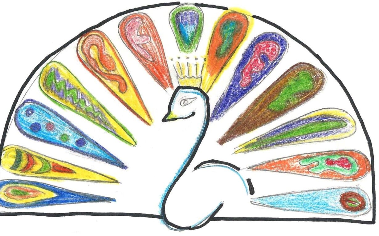 A stylized drawing of a peacock with a fan-shaped tail, perfect for SEL activities. Each feather is uniquely colored in vibrant patterns of green, blue, red, and yellow, inviting students to explore emotions. The white-bodied peacock faces right.