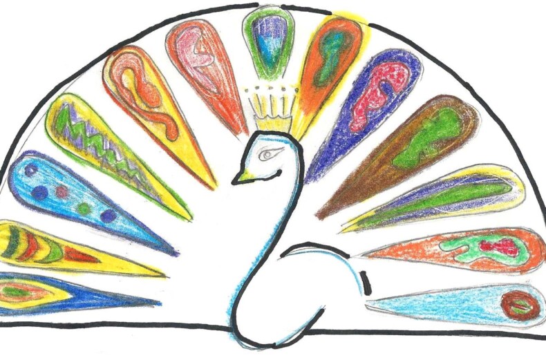 A stylized drawing of a peacock with a fan-shaped tail, perfect for SEL activities. Each feather is uniquely colored in vibrant patterns of green, blue, red, and yellow, inviting students to explore emotions. The white-bodied peacock faces right.