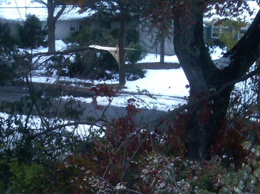 A snowy street scene with bare trees and snow-covered ground unfolds. In the foreground, a tree with dark branches stands tall, embodying the varied growth seen in SEL activities. Houses and more trees are visible in the background, while fallen leaves add a touch of color to this serene setting.