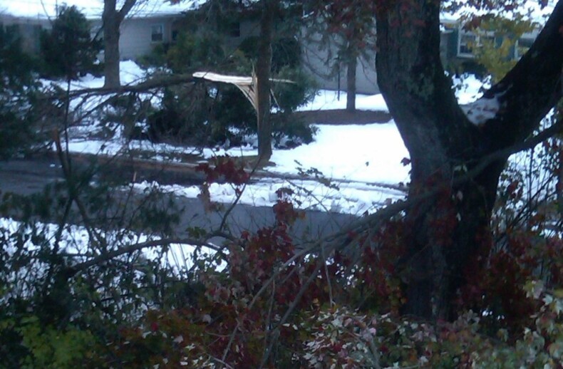 A snowy street scene with bare trees and snow-covered ground unfolds. In the foreground, a tree with dark branches stands tall, embodying the varied growth seen in SEL activities. Houses and more trees are visible in the background, while fallen leaves add a touch of color to this serene setting.