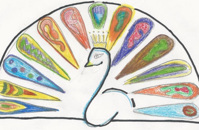 A colorful drawing of a stylized peacock, its fan of vibrant feathers symbolizing the diversity found in SEL curriculum. The feathers, in yellows, blues, greens, and oranges, offer a striking visual against a plain background, perfect for engaging students in get to know you activities.